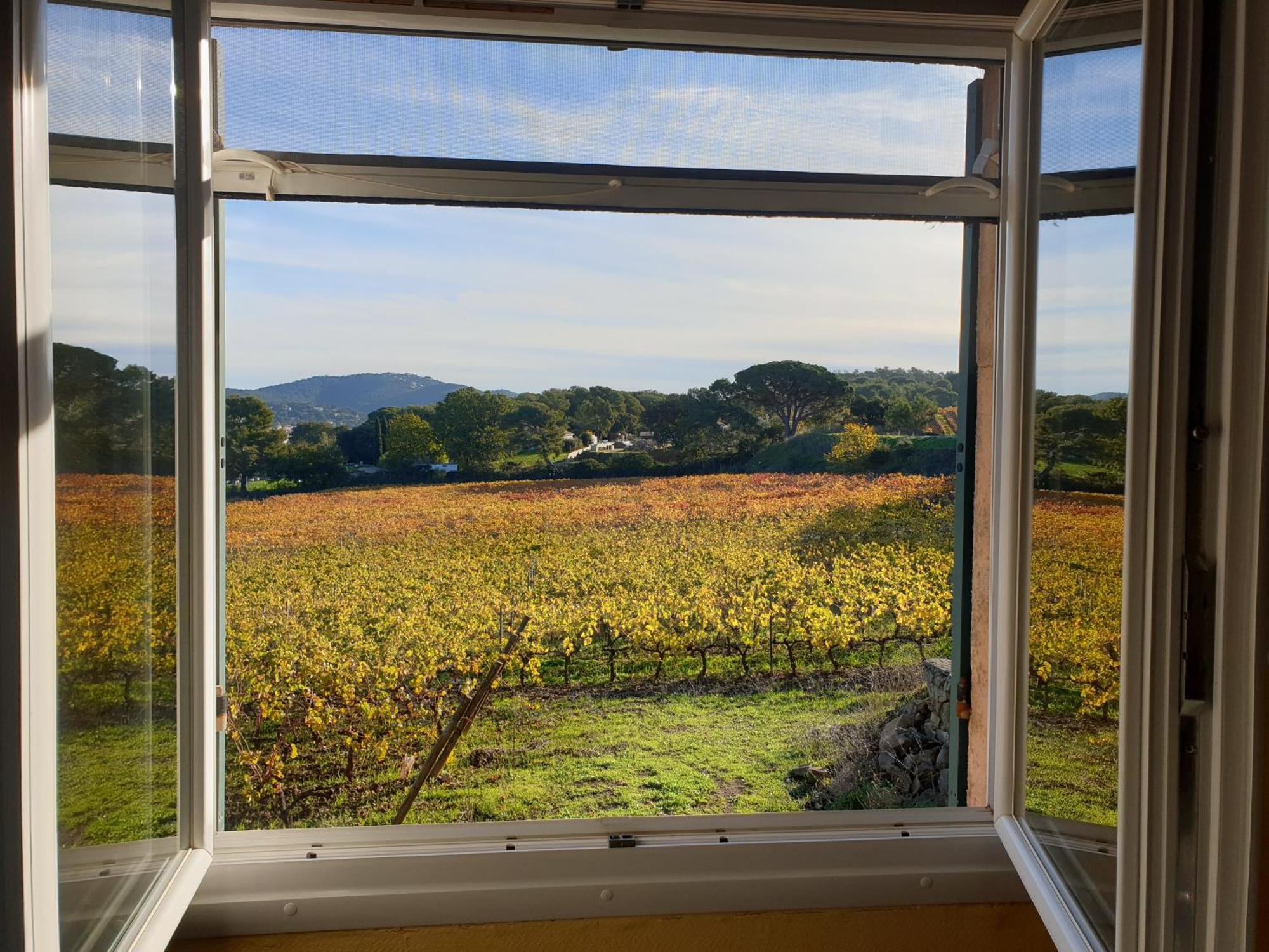 Domaine De La Navicelle Villa Le Pradet Exteriör bild